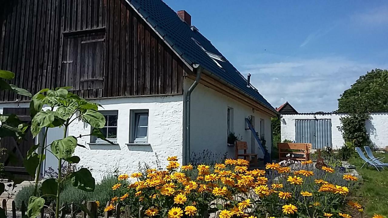 Zum Storchennest Hotel Kemnitz  Exterior photo